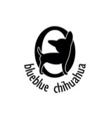 Blueblue chihuahua logo